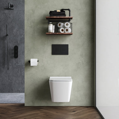 Elegant Wall Hung Toilet Pan with Soft Close Seat – White, 480mm Projection
