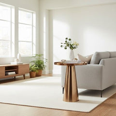 [BATR906] Coffee & Side Table for the Living Room, Choice of Style