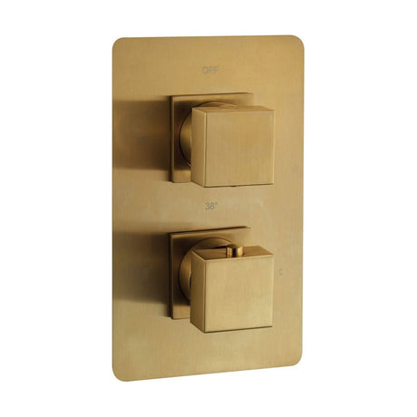 [BB9310BRS] Balterley Modern Wall Mounted Concealed Thermostatic Square Twin Handle Single Outlet Shower Valve, 200x120mm Brushed Brass Finish - Cutout
