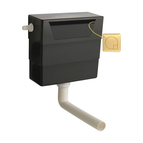 [BCC6M03] Universal Water Saving Dual Flush Side Inlet & Square Dual Flush Button - Choice of Finish - Cutout