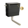 [BCC6T03] Balterley Universal Water Saving Dual Flush Side Inlet with Traditional Push Button - Cutout