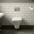 [BCSU140] Trysull Contemporary Wall Hung Rimless Toilet Pan and Seat, 355 x 350 x 490mm - Silo