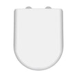 [BCTS004] Luxury Soft Close D Shape Top Fix - White - Cutout