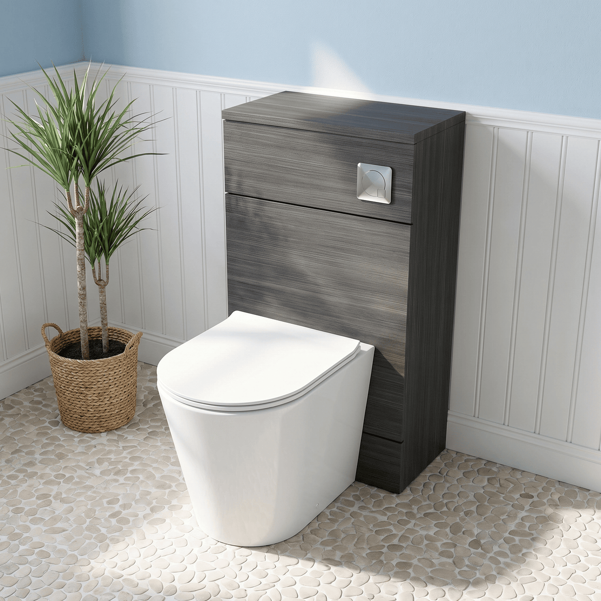 [BFDY505A]