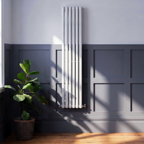 [BHAS001] Huddlesford Contemporary Vertical Double Panel Radiator, Choice of Colour and Size - Silo