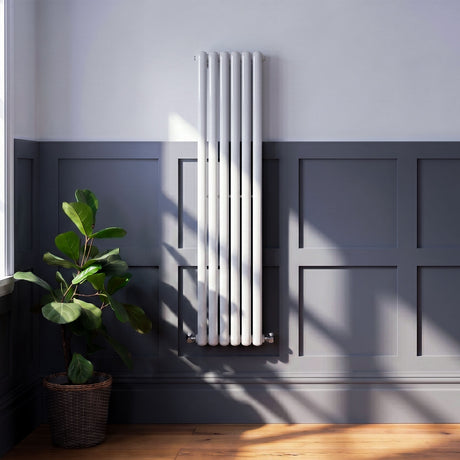 [BHAS002] Huddlesford Contemporary Vertical Double Panel Radiator, Choice of Colour and Size - Silo