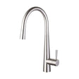 [BKT009] Contemporary Pull Out Single Lever Kitchen Mixer Tap - Chrome - Cutout