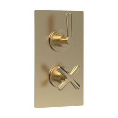 [BSCN8210L] Levedale Twin Concealed Crosshead Thermostatic Shower Valve (1 Outlets) - Cutout