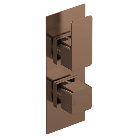 [BSEM15TW01] Swinscoe Contemporary Concealed Square Twin Thermostatic Shower Valve, Choice of Colour - Cutout