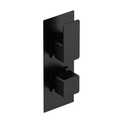 [BSEM4TW01] Empire Contemporary Concealed Square Twin Thermostatic Shower Valve, 215mm Solid Brass Construction - Matt Black by Balterley - Cutout