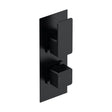 [BSEM4TW02] Empire Contemporary Concealed Square Twin Thermostatic Shower Valve with Diverter, 215mm Solid Brass - Matt Black by Balterley - Cutout