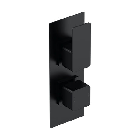 [BSEM4TW02] Empire Contemporary Concealed Square Twin Thermostatic Shower Valve with Diverter, 215mm Solid Brass - Matt Black by Balterley - Cutout