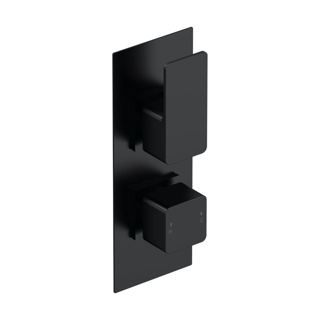 [BSEM4TW02] Empire Contemporary Concealed Square Twin Thermostatic Shower Valve with Diverter, 215mm Solid Brass - Matt Black by Balterley - Cutout
