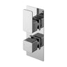 [BSEMTW01] Swinscoe Contemporary Concealed Square Twin Thermostatic Shower Valve, Choice of Colour - Cutout