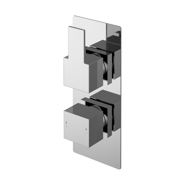 [BSRPTW02] Ripple Contemporary Bathroom Twin Concealed Thermostatic Shower Valve with Diverter and Lever Handle, 215mm, Chrome - Balterley - Cutout