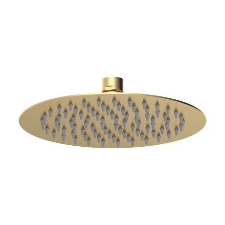 [BSSH8082] Round Fixed Head, 200mm - Brushed Brass - Cutout