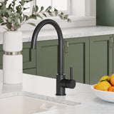 Lacerta Kitchen Mono Mixer Tap - Multiple Finish and Handle Options Available